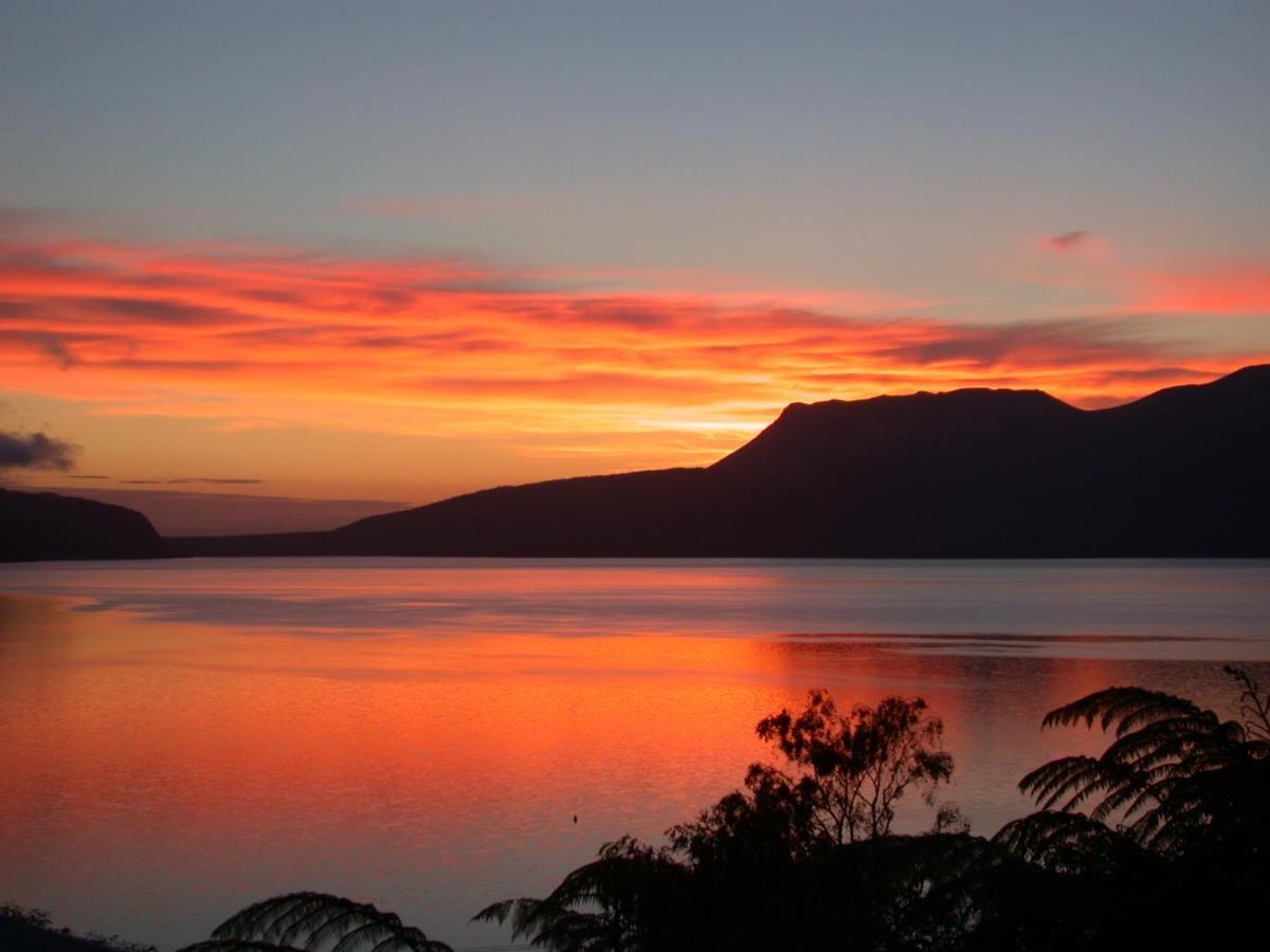 Hotel Te Whare -Lake Tarawera Tree-Top Nest Exteriér fotografie